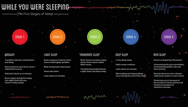 Infographic: 5 Stages of Sleep