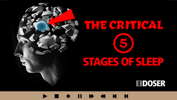 5 Stages of Sleep