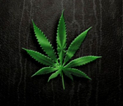 Meditate With Marijuana