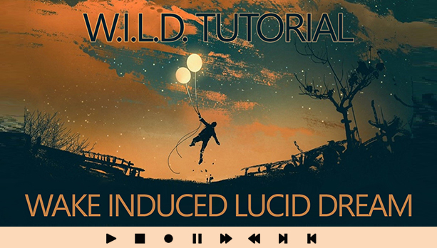 W.I.L.D. Tutorial