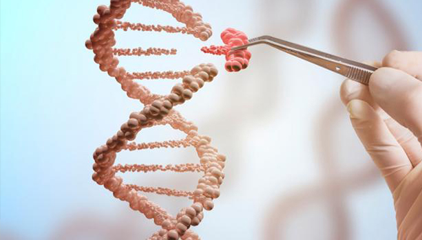 DIY Gene Editing Biohacker CRISPR Tutorial