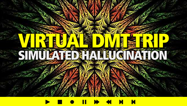 Simulate DMT NOW!