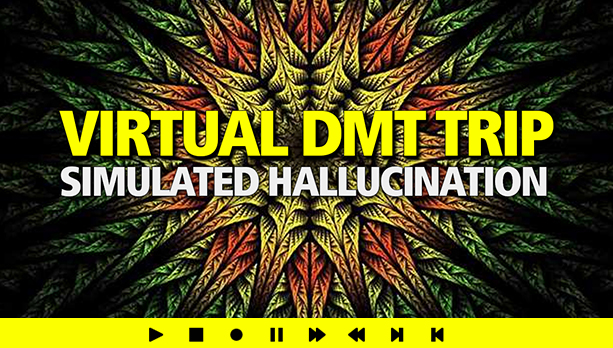 Simulatre DMT NOW!