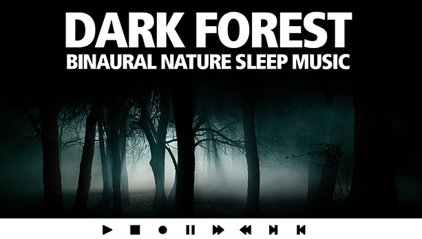 Dark Forest Nature Sleep Music