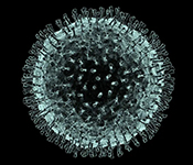 Stress Reduction During Coronavirus