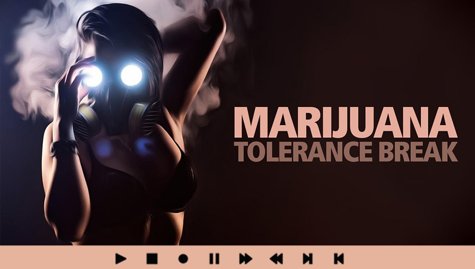 Marijuana Tolerance Break