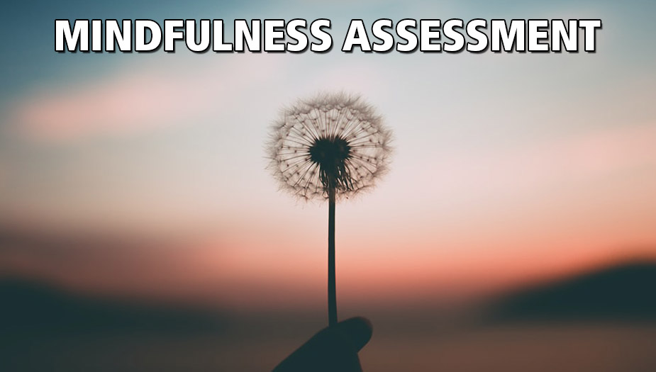 Mindfulness Assessment