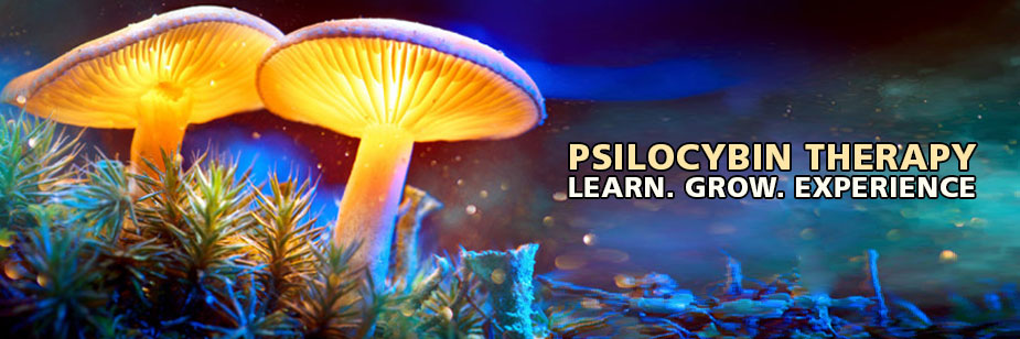 Psilocybin Therapy: Growing Magic Mushrooms