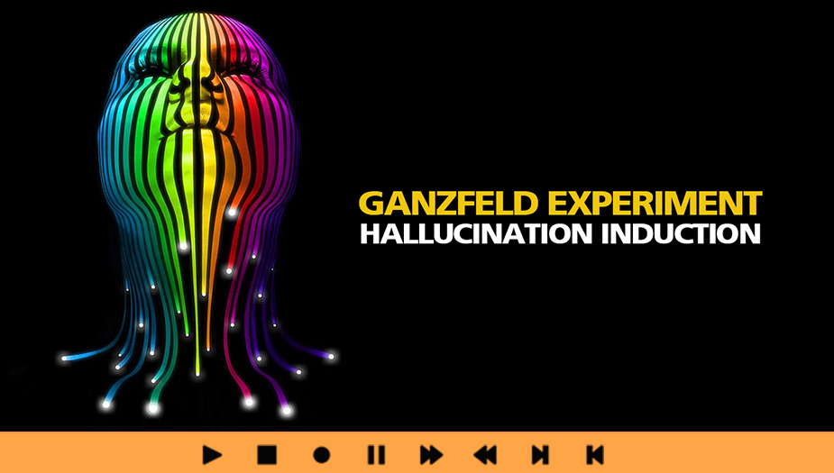GANZFELD EFFECT EXPERIMENT Simulation and Induction of Perceptual Deprivation Hallucinations