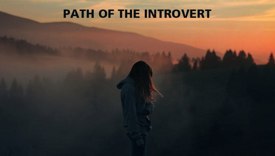 What Is Introvert